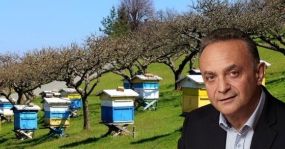 Με απόφαση Κελέτση προχωρά η ανασύσταση του Μελισσοκομικού Πάρκου Δαδιάς