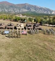 1η στο Διεθνή Διαγωνισμό Ουλαμών Αρμάτων Ελλάδας και ΗΠΑ η 24 ΕΜΑ (φωτο)