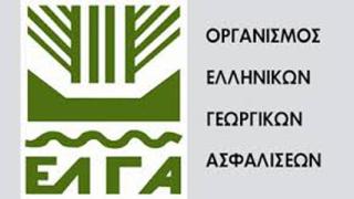 Ανακοίνωση του ΕΛΓΑ για όσους υπέστησαν καταστροφές από την κακοκαιρία