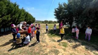 Οι μαθητές του Νηπιαγωγείου "Ο Άγιος Στυλιανός" γνώρισαν τον θαυμαστό κόσμο των μελισσών!