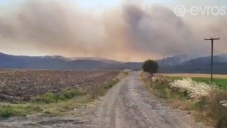 Έσβησε η φωτιά στη Δαδιά αλλά μαίνεται νέα στη Λευκίμμη (φωτο + video)