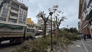 Βρέθηκε η λύση για τις κουτσουλιές στο κέντρο της Αλεξανδρούπολης