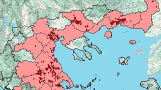 Πλησιάζουν τις 100 οι εστίες ευλογιάς αιγοπροβάτων στην ΑΜΘ
