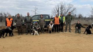 Με δολώματα από ζαρκάδια δηλητηριάστηκαν τα ζώα στο Δάσος της Δαδιάς