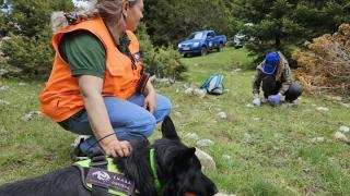 Στην πρώτη γραμμή οι τετράποδοι φύλακες του ΟΦΥΠΕΚΑ για τα δηλητηριασμένα δολώματα