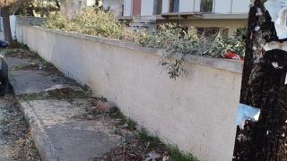 Απροσπέλαστα πεζοδρόμια και κόψιμο δένδρων