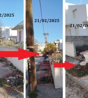 Όποτε θέλουμε φυτεύουμε και όποτε θέλουμε κόβουμε;