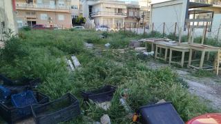 Παράταση στην προθεσμία για καθαρισμό οικοπέδων