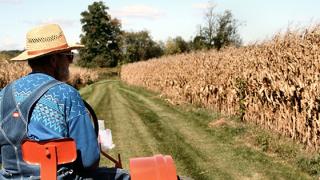 Σε προτεραιότητα οι πληρωμές αγροτών μέχρι τις εκλογές.