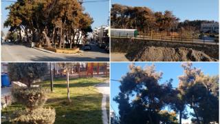 "Ξεραίνονται" τα πάρκα της Αλεξανδρούπολης