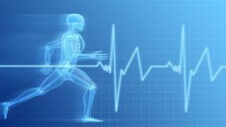 Προαθλητικός έλεγχος: Η καρδιά ενός αθλητή μπορεί να τον προδώσει πιο εύκολα;
