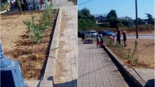 Αλεξανδρούπολη: Δώρο μία... δενδροφύτευση