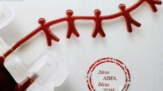 Αλεξανδρούπολη: Διεξαγωγή Εθελοντικής Αιμοδοσίας και Δωρεά Μυελού των Οστών