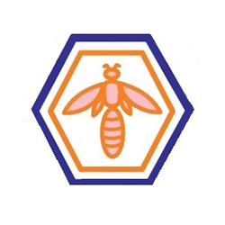 Arının atölyesi - Bal Hakkında Herşey