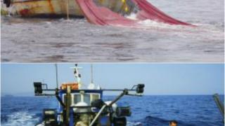Εισάγουμε από την Τουρκία ψάρια του... Αιγαίου