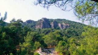 Αναρτήθηκε ο δασικός χάρτης της Αλεξανδρούπολης από την Διεύθυνση Δασών Έβρου