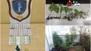 Σαμοθράκη: Ναρκωτικά χάπια κουβαλούσε στον σάκο του 37χρονος Θεσσαλονικιός - Έγινε "επίσκεψη" και στο σπίτι του