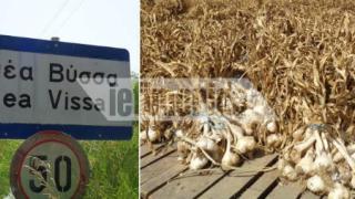 Οδοιπορικό του iefimerida στο χωριό όπου δεν πατάει ο… βρυκόλακας, τη Νέα Βύσσα