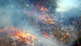 Πυρκαγιά ξέσπασε στην περιοχή της Νέας Βύσσας, Ορεστιάδας