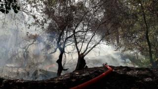 Και 3η πυρκαγιά μέσα σε 3 μέρες στην Αλεξανδρούπολη - Φωτιά στον Πλατανότοπο Μαΐστρου