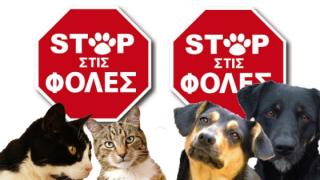 Αλεξανδρούπολη: Ασυνείδητοι έριξαν και πάλι φόλες στην περιοχή της Εφορίας