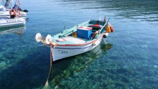Η ψαρόβαρκα στον Έβρο κοστίζει... ακριβά! 