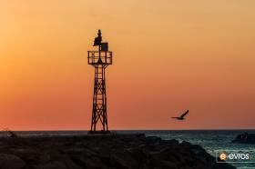 Semendirek resim gibi!