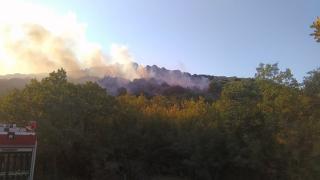 Σε εξέλιξη νέα πυρκαγιά στις Φέρες Αλεξανδρούπολης 