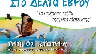 Η "Ευρωπαϊκή Γιορτή Πουλιών" ξαναέρχεται στο Δέλτα του Έβρου!