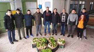 Οι μικροί κηπουροί Ορεστιάδας που υποστηρίζουν ευπαθείς οικογένειες!