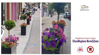 Αισθητική αναβάθμιση απο τον  Δήμου Διδυμοτείχου στους δρόμους της πόλης!