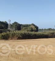 Ξεκίνησε η κατασκευή του φράχτη στον Έβρο - Έρχεται ο πρωθυπουργός να τον εγκαινιάσει