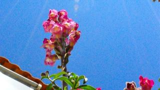 Αρχίζουν οι Αλκυονίδες - Θερμοκρασίες πάνω από 20 βαθμούς και στην Θράκη