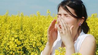 Παγκόσμια Ημέρα κατά της Αλλεργίας η 8η Ιουλίου.