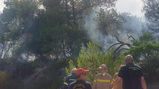 Υπό πλήρη έλεγχο η πυρκαγιά στη Λευκίμη