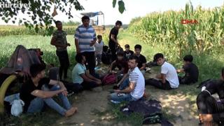 "Άρχισαν τα όργανα" στον Έβρο: Ξεκίνησαν να καταφθάνουν οι πρώτοι Αφγανοί στα σύνορα (video)