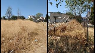 Αυτά τα ξερόχορτα μέσα στην Αλεξανδρούπολη, ποιός θα τα κόψει;