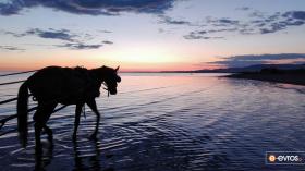 Hafta 16 Ekim - 22 Ekim 2017