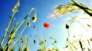 Επίκαιρα και φέτος τα μηνύματα της Εργατικής Πρωτομαγιάς