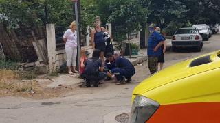 Σκυλιά επιτέθηκαν και τραυμάτισαν γυναίκα στην Αλεξανδρούπολη