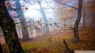 Φθινοπωρινή ισημερία 2023: Πότε έρχεται επίσημα το Φθινόπωρο