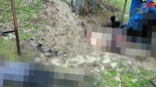 Νεκροί από το κρύο 12 άνθρωποι στα ελληνοτουρκικά σύνορα - Τι απαντά η Αθήνα στον Ερντογάν