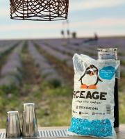 Buz üretimi ve satışı yapan imalathane