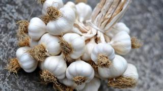 Orestiada (Kumçiftliği) Guiness sarımsak rekoruna hazırlanıyor