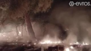 Συνεχίζεται για 5η ημέρα ο πύρινος εφιάλτης στο Εθνικό Πάρκο Δαδιάς