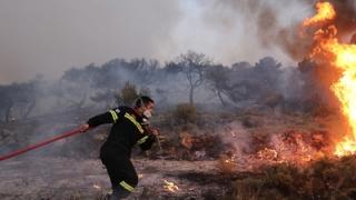 Έβρος: Που απαγορεύεται η διέλευση, παραμονή και κυκλοφορία σε δασικές εκτάσεις 