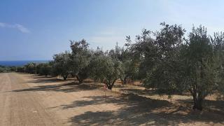«Εντυπωσιακό έργο» ο δρόμος Μαρώνεια - Δίκελλα