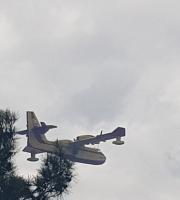 Πυρκαγιά σε δασική έκταση στη Λευκίμη Σουφλίου (video - φώτο)