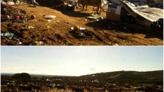 Εικόνες ντροπής στην Αλεξανδρούπολη: Ταΐζουν και κατσίκια εκτός από γουρούνια στον σκουπιδότοπο