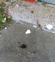 Σε σκουπιδότοπο μετατράπηκε το πάρκινγκ του Δημοτικού Camping Αλεξ/πολης (φωτογραφίες)